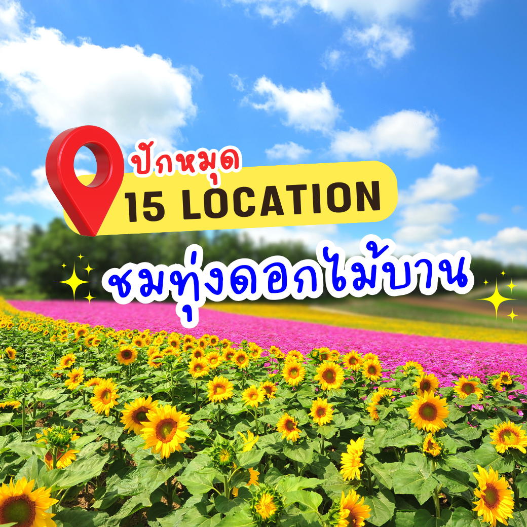 พลาดไม่ได้กับ 15 สถานที่ชมทุ่งดอกไม้บาน